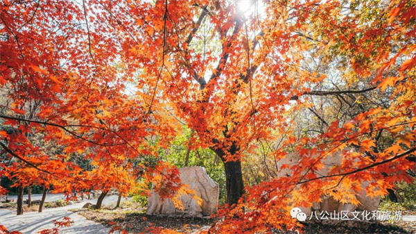 【圖說(shuō)淮南】——八公山風(fēng)景區這個(gè)地方紅了！