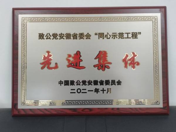 喜報(bào)！致公黨淮南市委會(huì)“同心示范工程”工作獲致公黨省委會(huì)表彰