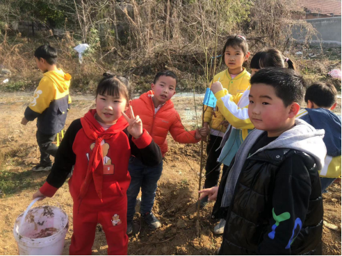 淮師附小十九中校區(qū)開展植樹活動