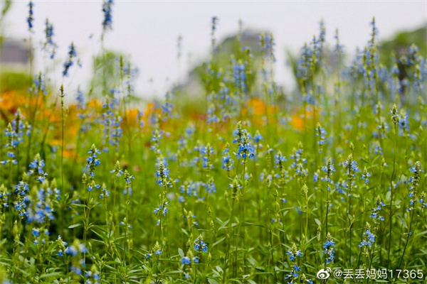 【圖說(shuō)淮南】——休閑好去處