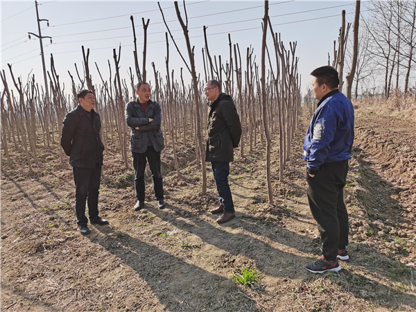 淮南市林業(yè)局劉錦燦副局長調(diào)研春季植樹造林工作