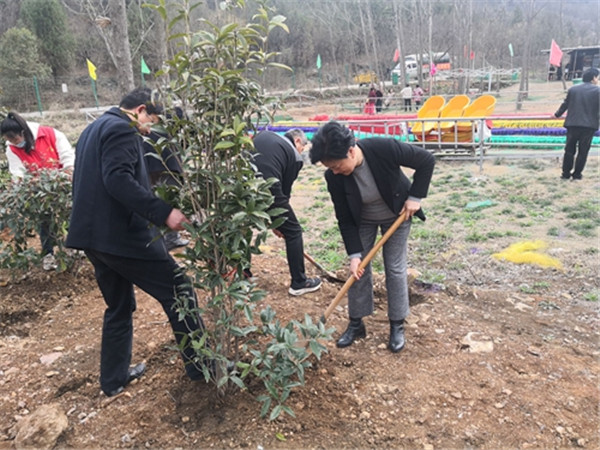 淮南市八公山區(qū)人大常委會機關(guān)黨支部黨員活動日開展義務植樹活動