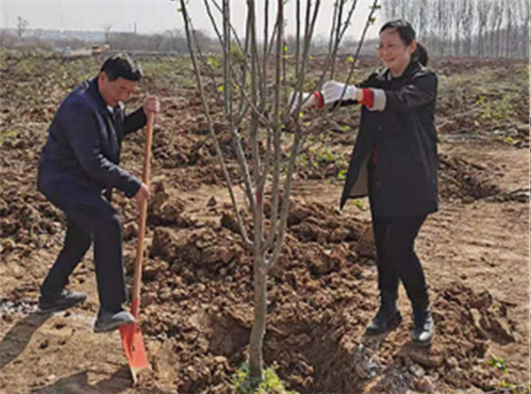 淮南市大通區(qū)紀(jì)委積極參與義務(wù)植樹活動